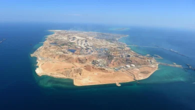 جزیره خارک یا خارگ