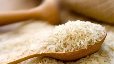 قیمت روز برنج ایرانی